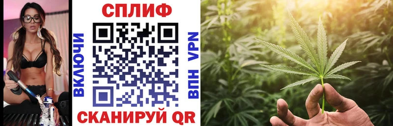 Бошки Шишки THC 21%  OMG ссылка  Петровск-Забайкальский 